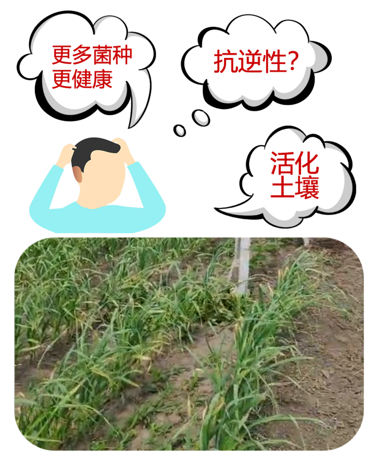 ÎÊÌâswkl.png